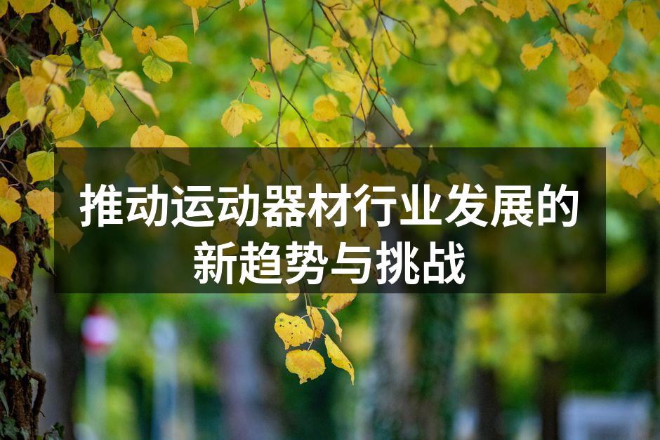 现代智能运动器材展示