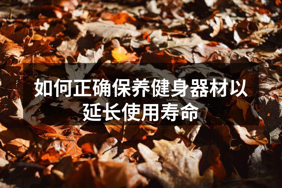 如何正确保养健身器材以延长使用寿命